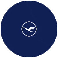 Heart Love Sticker by Lufthansa Group Communications