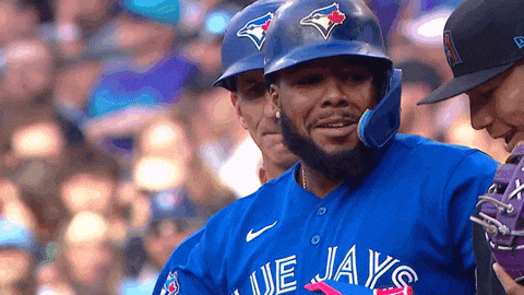 Blue Jays Smile GIF by Toronto Blue Jays