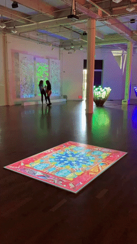 royaebtehaj giphyupload GIF