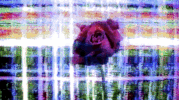 party space GIF by GOLDN