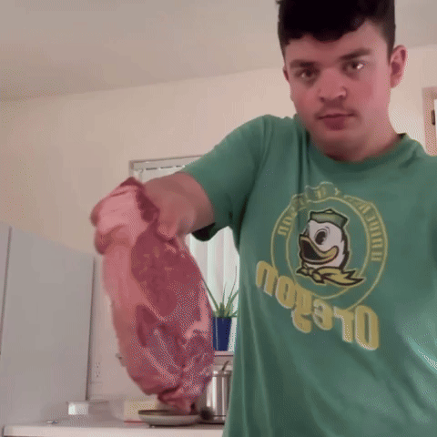 nedgoj giphycreatortest GIF