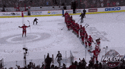 ice hockey win GIF by NHL