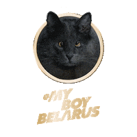 Licking Cat Food Sticker by Sheba Official