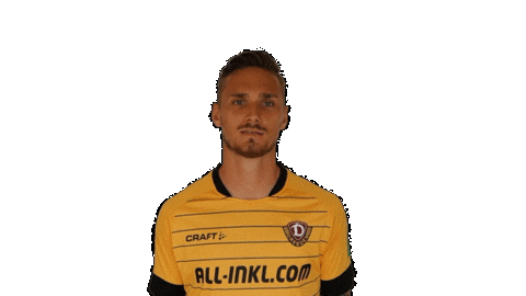 Bundesliga Smile Sticker by SG Dynamo Dresden