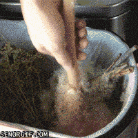 home video ducktail plants GIF by Cheezburger