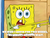 season 5 the two faces of squidward GIF by SpongeBob SquarePants