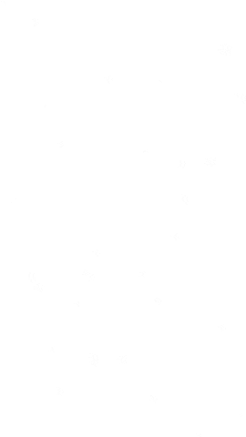 Gotigers Wareagle Sticker by Auburn University