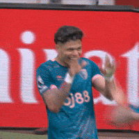 Happy Premier League GIF by AFC Bournemouth
