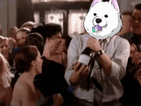 Samoyedcoin giphyupload crypto sol solana GIF