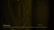 Jensen Gpu GIF by NVIDIA GeForce