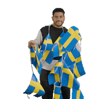 ikeaswitzerland party celebrate switzerland sweden Sticker