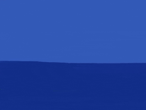 Crocodile Sneak GIF by Barbara Pozzi