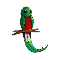 Happy Art Sticker by Finca El Oasis