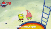 season 10 episode 6 GIF by SpongeBob SquarePants