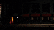 Bensu Soral Cam GIF by Show TV