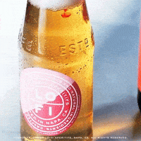 lofiaperitifs christmas beer thursday lofi GIF