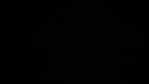 Music Video Dancing GIF by Mute Records
