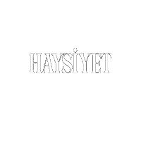 Haysiyet Sticker by Kanal D
