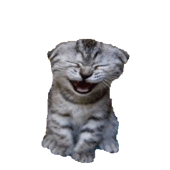 cat laughing Sticker