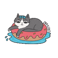 Splish Splash Cats Sticker by Cat and Cat Comics