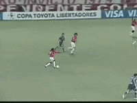 Libertadores Da America Colorado GIF by Sport Club Internacional