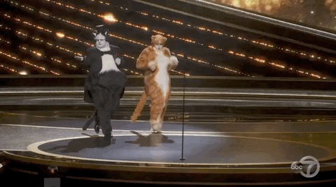 Oscars GIF by The Academy Awards