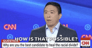 How Is That Possible Andrew Yang GIF by GIPHY News
