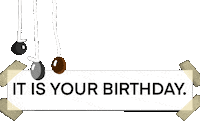 Fun Celebrate Sticker