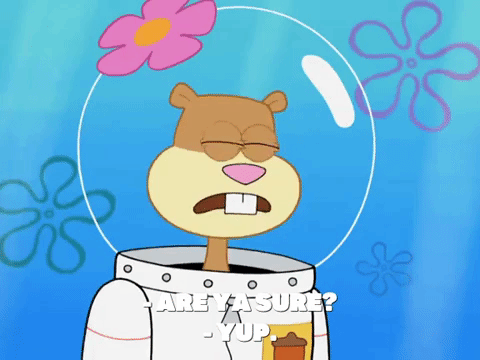 season 8 episode 13 GIF by SpongeBob SquarePants
