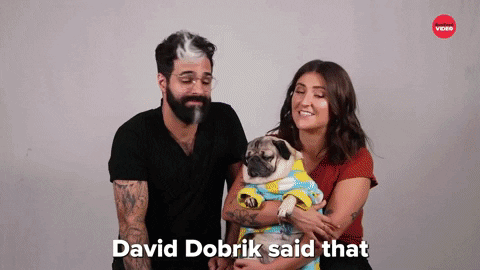 Doug The Pug Dog GIF by BuzzFeed