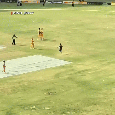 Babar Azam Goat GIF