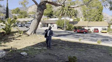 Alan Resnick's Enterings