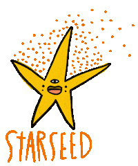 Star Lightworker Sticker