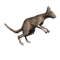 search phantom STICKER