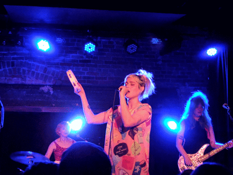hardly art GIF by Tacocat