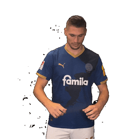 2 Bundesliga Football Sticker by Holstein Kiel