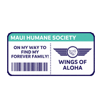 Boarding Pass Mhs Sticker by maui humane society