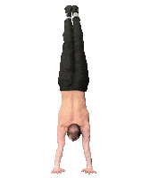 FlexCalisthenics flex calisthenics handstand teamflex Sticker