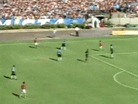 Colorado Inter GIF by Sport Club Internacional