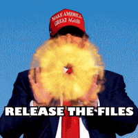 Angry Donald Trump GIF by Respective