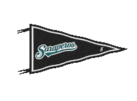 Baseball Sarapegif Sticker by Saraperos de Saltillo