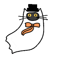 cat halloween Sticker by Ivo Adventures