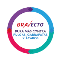 Gatos Perros Sticker by MSD Família Pet