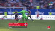Football Reaction GIF by MolaTV