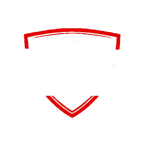 Car Tuning Sticker by BZ Performance GbR