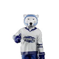 Hockey Hokej Sticker by Tipsport extraliga