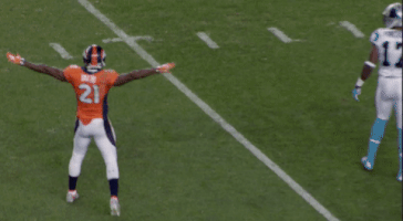 Denver Broncos Football GIF by Broncos