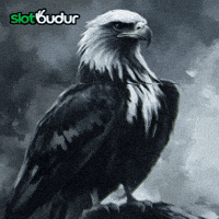 slotbudur beşiktaş kartal slotbudur GIF