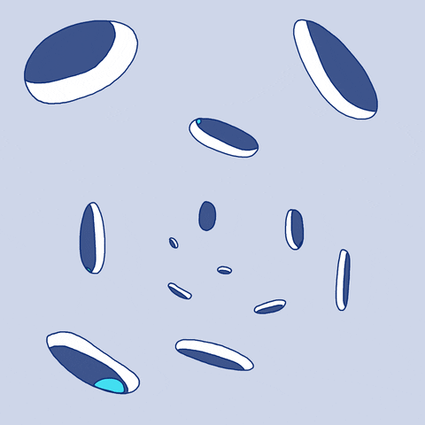 Awesome Fun GIF by Make it Move