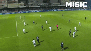 Paokfamily GIF by PAOK FC
